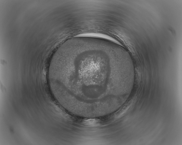 X0000090910269200708061528