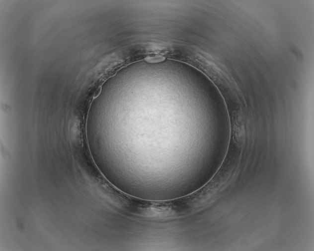 X0000090910270200708061528