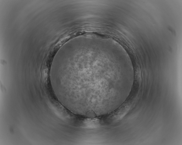 X0000090910271200708061528