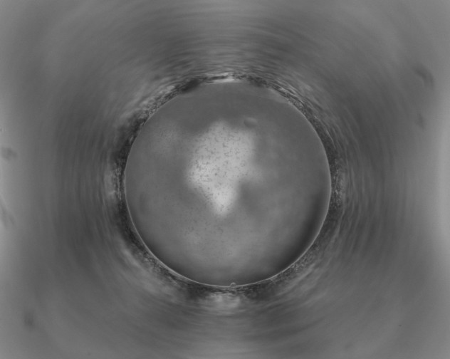 X0000090910272200708061528