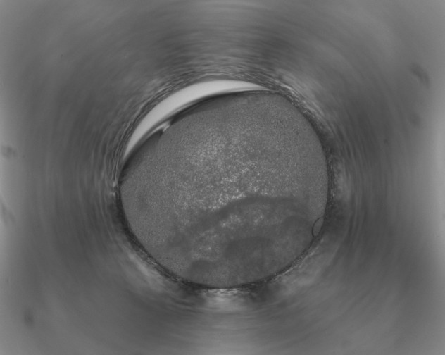 X0000090910273200708061528