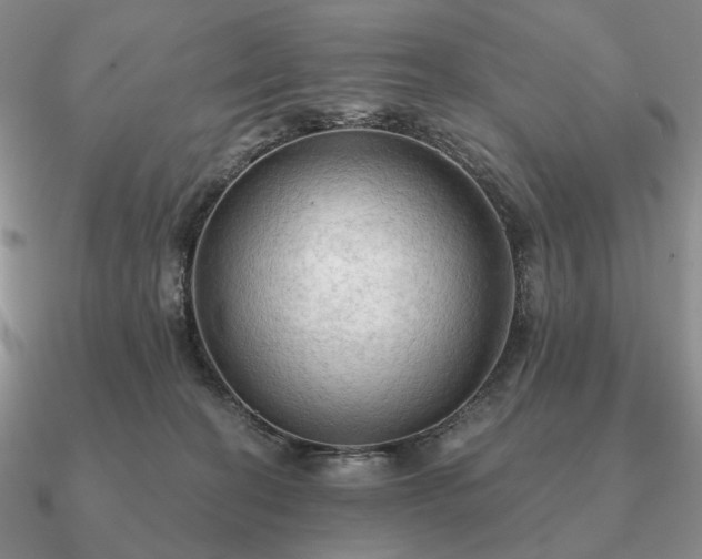 X0000090910274200708061528