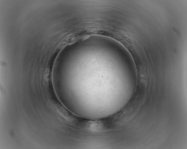 X0000090910275200708061528