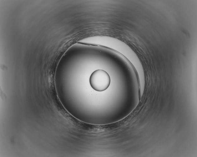 X0000090910276200708061528