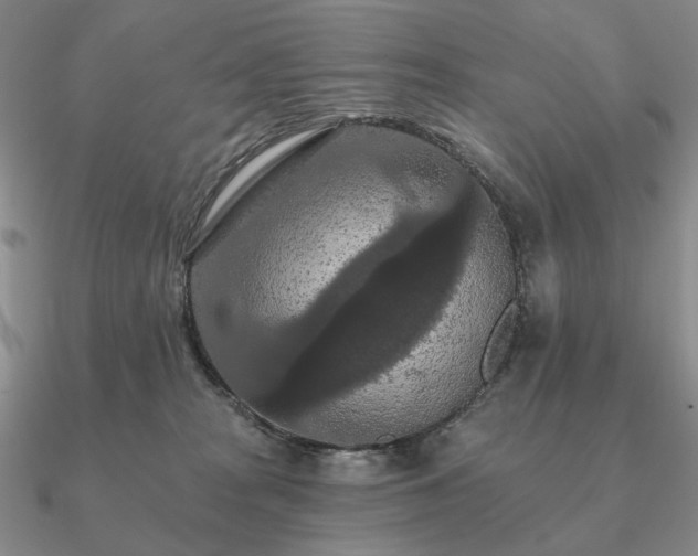 X0000090910277200708061528