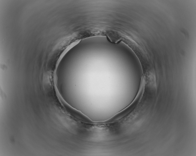 X0000090910280200708061528