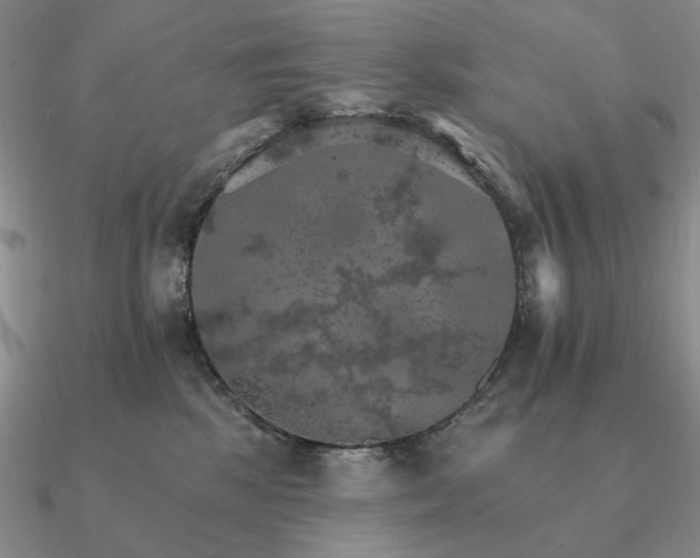 X0000090910281200708061528