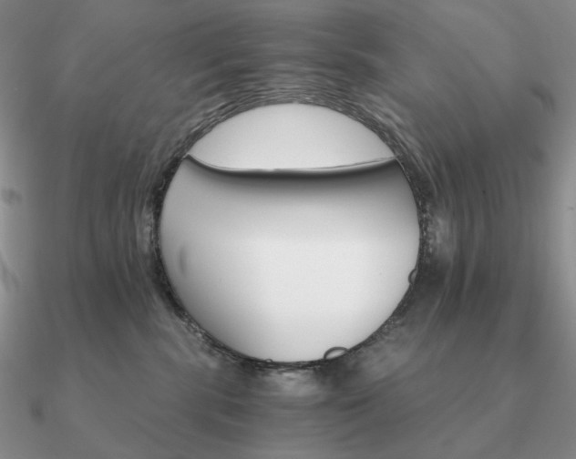 X0000090910283200708061528