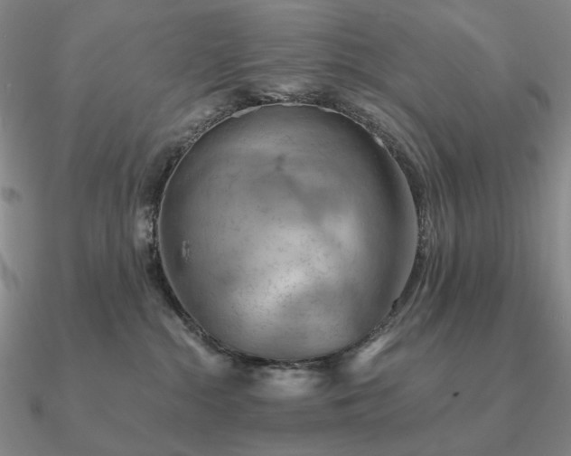 X0000090910284200708061528