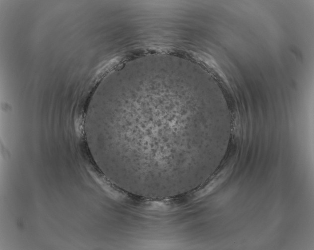 X0000090910285200708061528