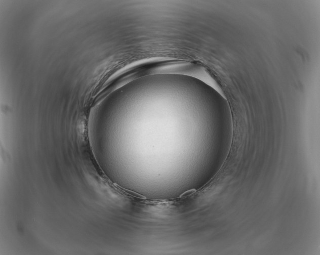 X0000090910288200708061528