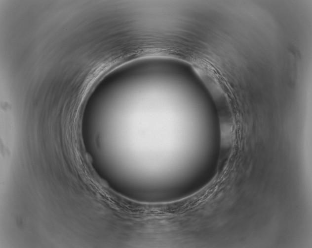 X0000090910289200708061528