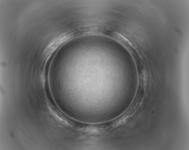 X0000090910290200708061528