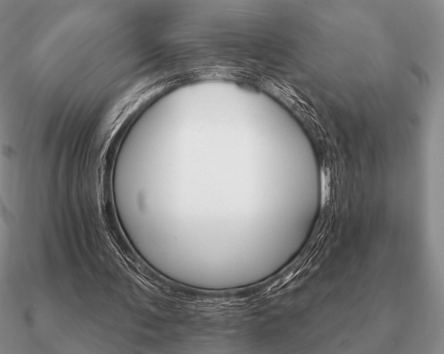 X0000090910291200708061528