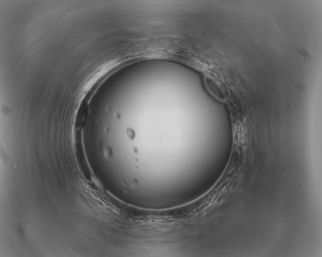 X0000090910292200708061528