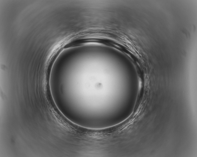 X0000090910293200708061528