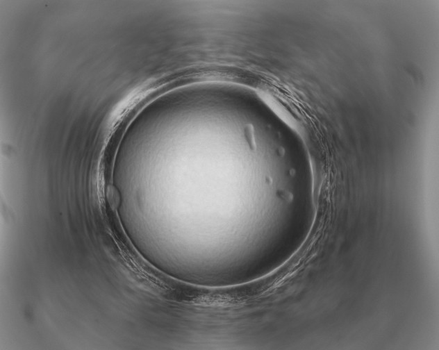 X0000090910294200708061528