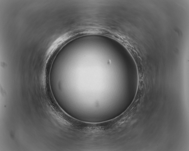 X0000090910296200708061528