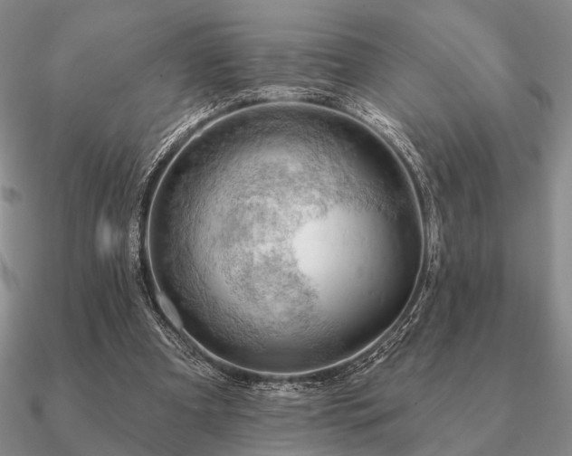 X0000090910297200708061528