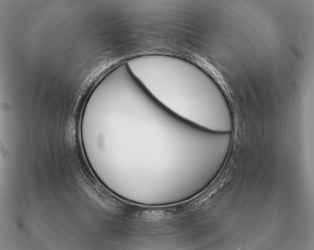 X0000090910298200708061528