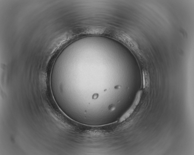 X0000090910300200708061528