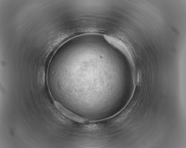 X0000090910301200708061528