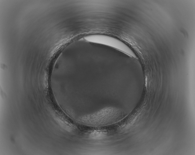 X0000090910303200708061528