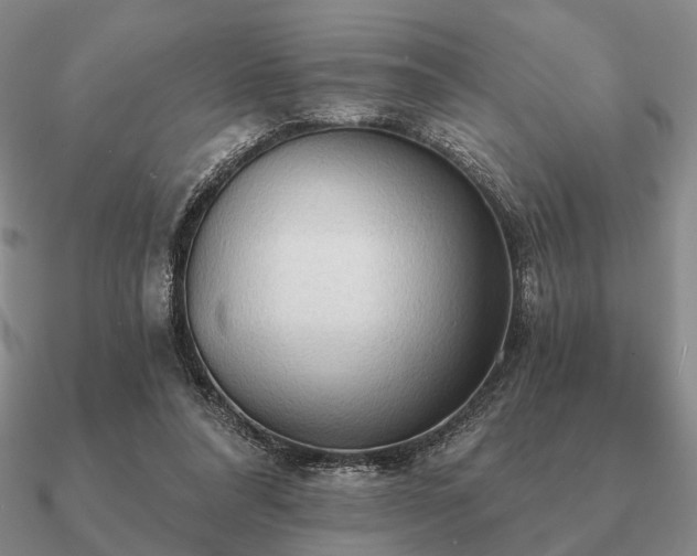 X0000090910304200708061528