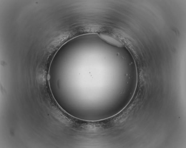 X0000090910305200708061528