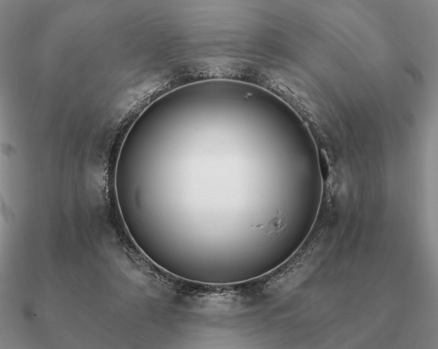 X0000090910306200708061528