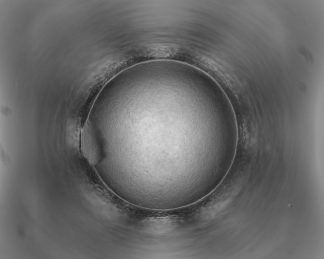 X0000090910307200708061528