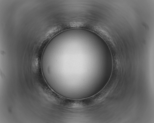 X0000090910308200708061528