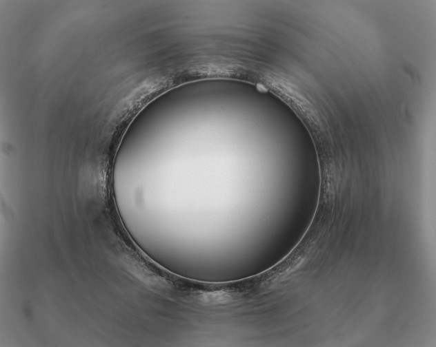 X0000090910309200708061528