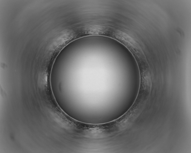 X0000090910310200708061528