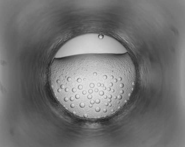 X0000090910311200708061528