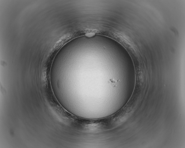 X0000090910312200708061528