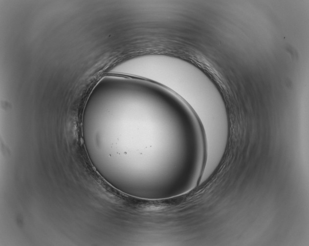 X0000090910313200708061528