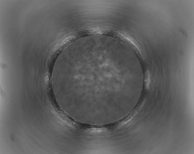 X0000090910314200708061528