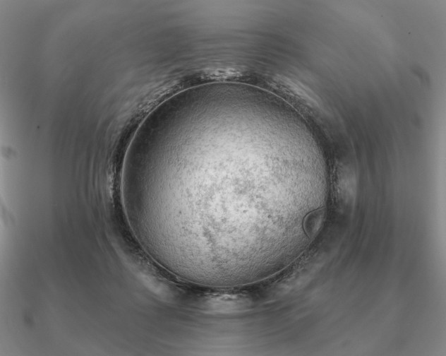 X0000090910315200708061528