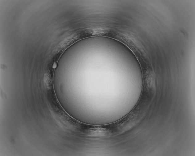 X0000090910316200708061528