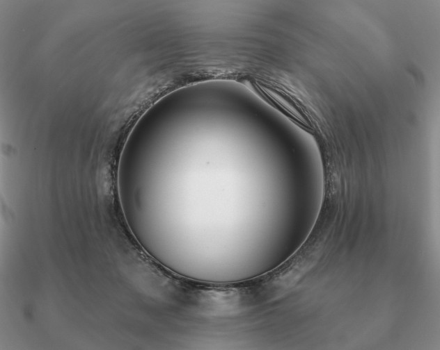 X0000090910317200708061528