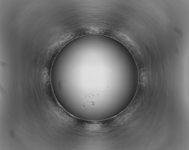 X0000090910318200708061528