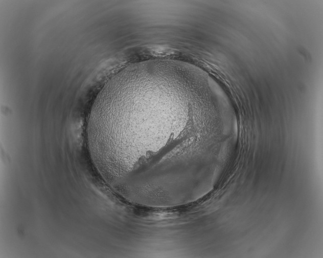 X0000090910319200708061528