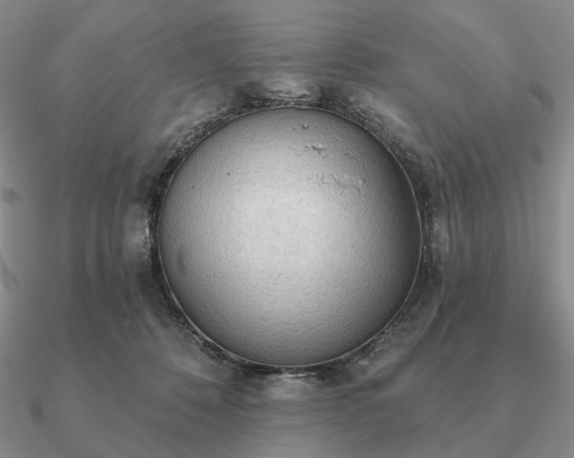 X0000090910320200708061528