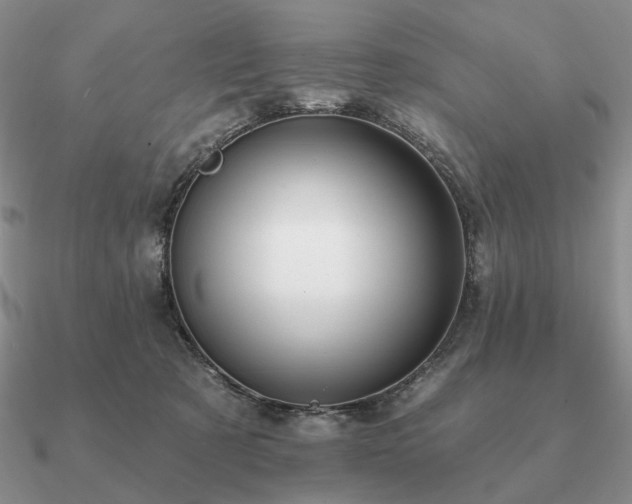 X0000090910321200708061528