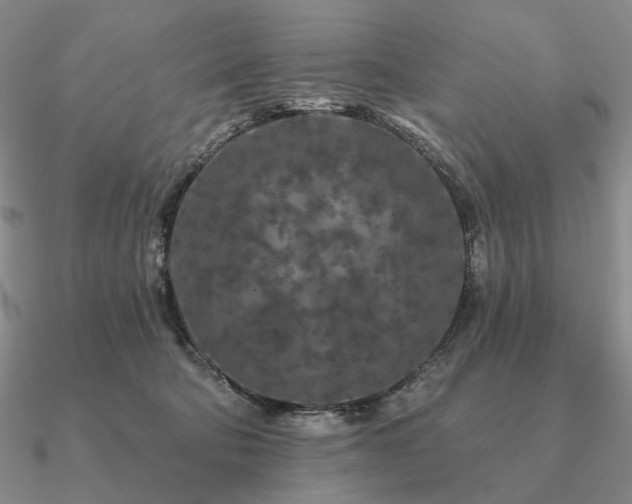 X0000090910322200708061528