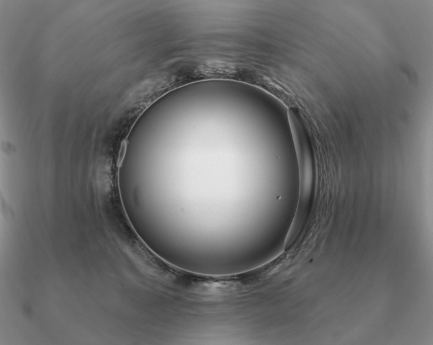 X0000090910323200708061528