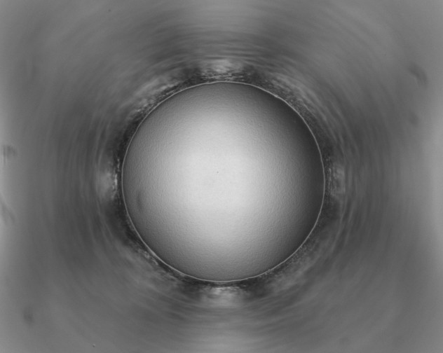 X0000090910324200708061528