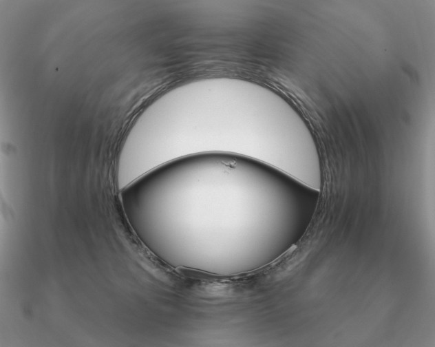 X0000090910325200708061528