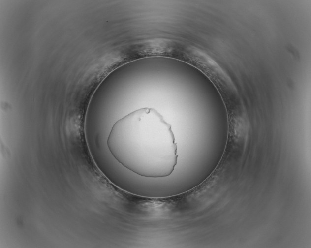 X0000090910326200708061528